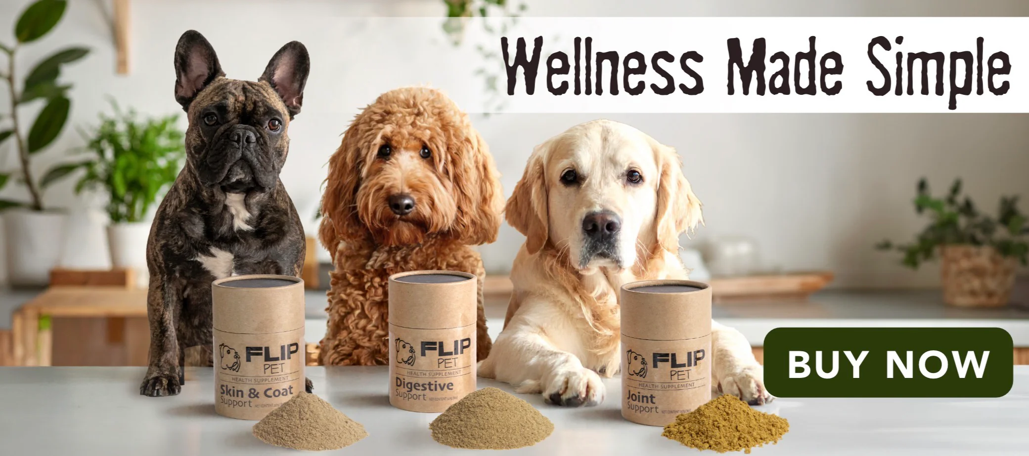 Bold Fashion for Bold Souls